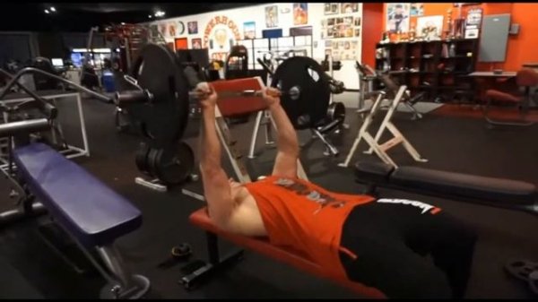 BODYBUILDING MOTIVATION JEFF SEID AESTHETIC 2020