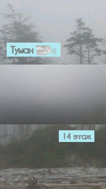 Атмосфера туманного утра 🌬✨ смотреть онлайн