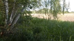 12 Часов Непрерывного КоПа!