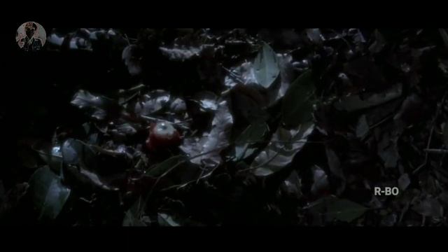 ALUR CERITA FILM ANACONDA 1997 смотреть онлайн