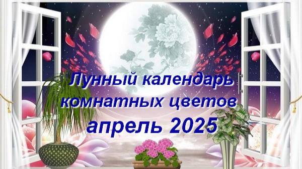 Лунный календарь комнатных растений и цветов на апрель 2025 года смотреть онлайн