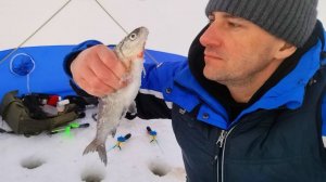 Рыбалка на сига. Белое море. Март 2025г.