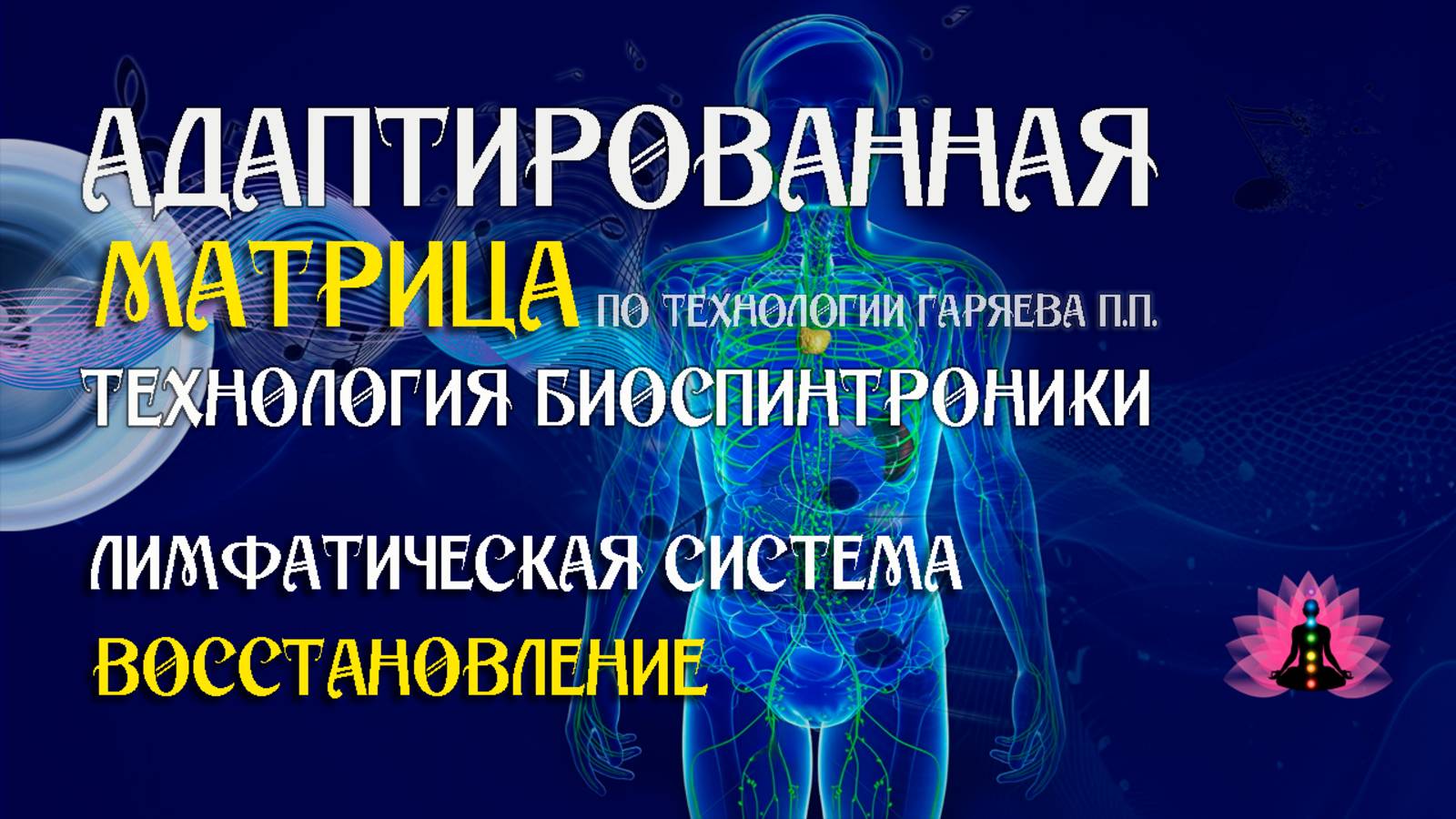 Лимфатическая система 🎶 программа матрица по технологии Гаряева П.П ☀️ SoftRadio.ru смотреть онлайн