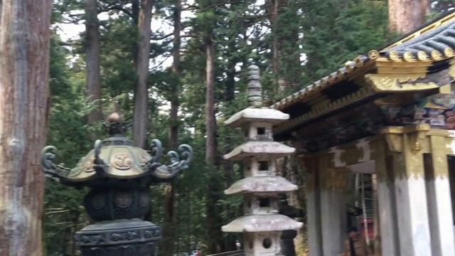 Сестре на память