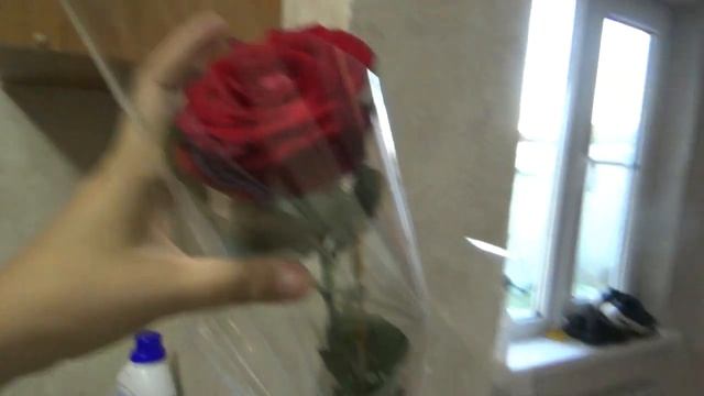 ВЛОГ Бег с препятствиями Дурная голова рукам покоя не дает смотреть онлайн