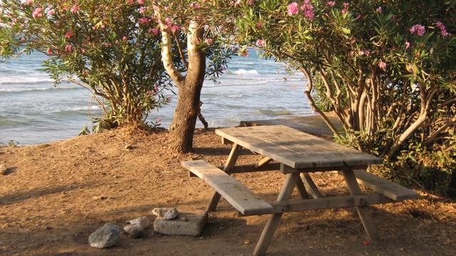 Dilek National Park, Guzelcamli – Kusadasi (Milli Park) смотреть онлайн
