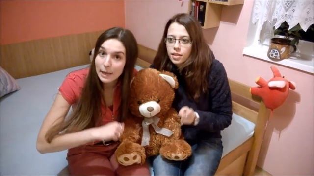 Vánoční přání 2016 смотреть онлайн