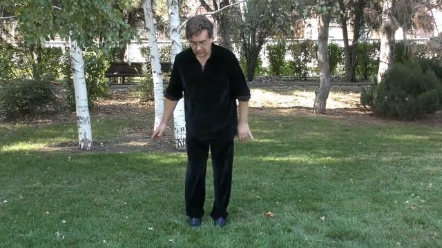 09 Учебное таолу стиля "Орлан и барс": "Основные вводные удары ногами на средней дистанции". смотреть онлайн