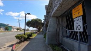 Американцы хотят бежать из США, но у них ничего не получится (про чижа)