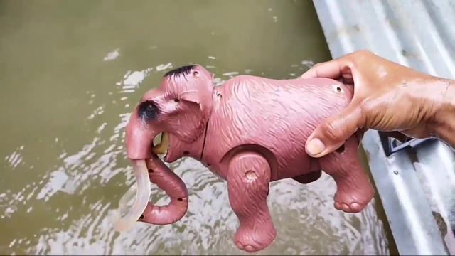 Cleaning Muddy Toys, Ancient Elephants, Molen Cars, Racing Cars, Ambulances, Ice Cream Cars, Planes