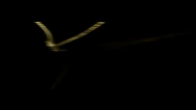 Авраам Руссо - Лето