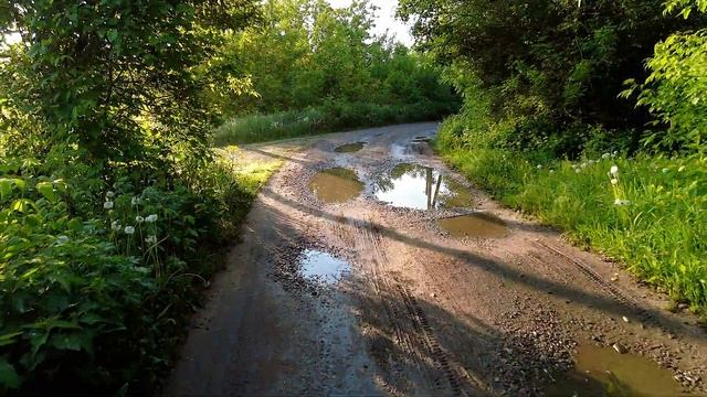 Одуванчики смотреть онлайн