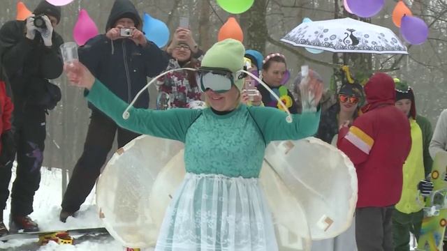 Карнавал 2018год Стрекоза и Муравей