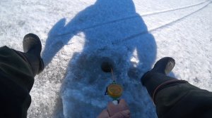 22.03.25. Ловля плотвы на скользящую блесну.