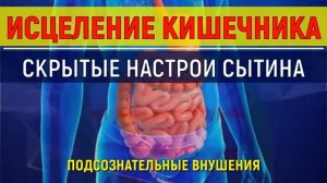 ИСЦЕЛЕНИЕ КИШЕЧНИКА*СКРЫТЫЕ НАСТРОИ СЫТИНА ДЛЯ ЖКТ*САБЛИМИНАЛ