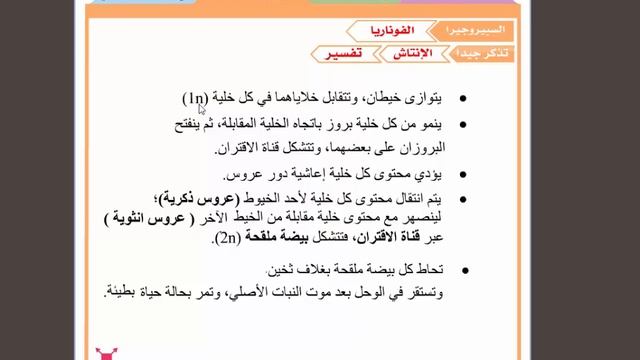 التكاثر الجنسي في السبيروجيرا смотреть онлайн