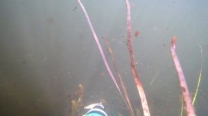 По ту сторону воды 5