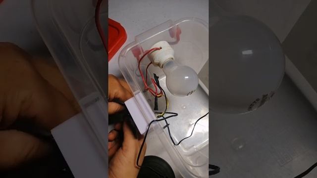 Tupperware turn into egg incubator... DIY.. смотреть онлайн