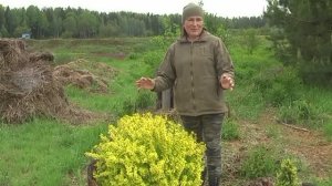 Как выбрать место для растений на участке