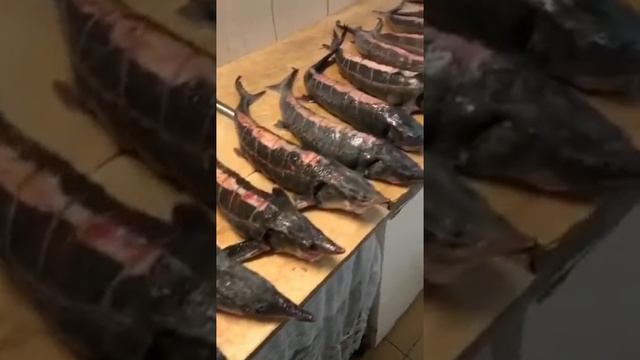Блюда в Тандыра смотреть онлайн