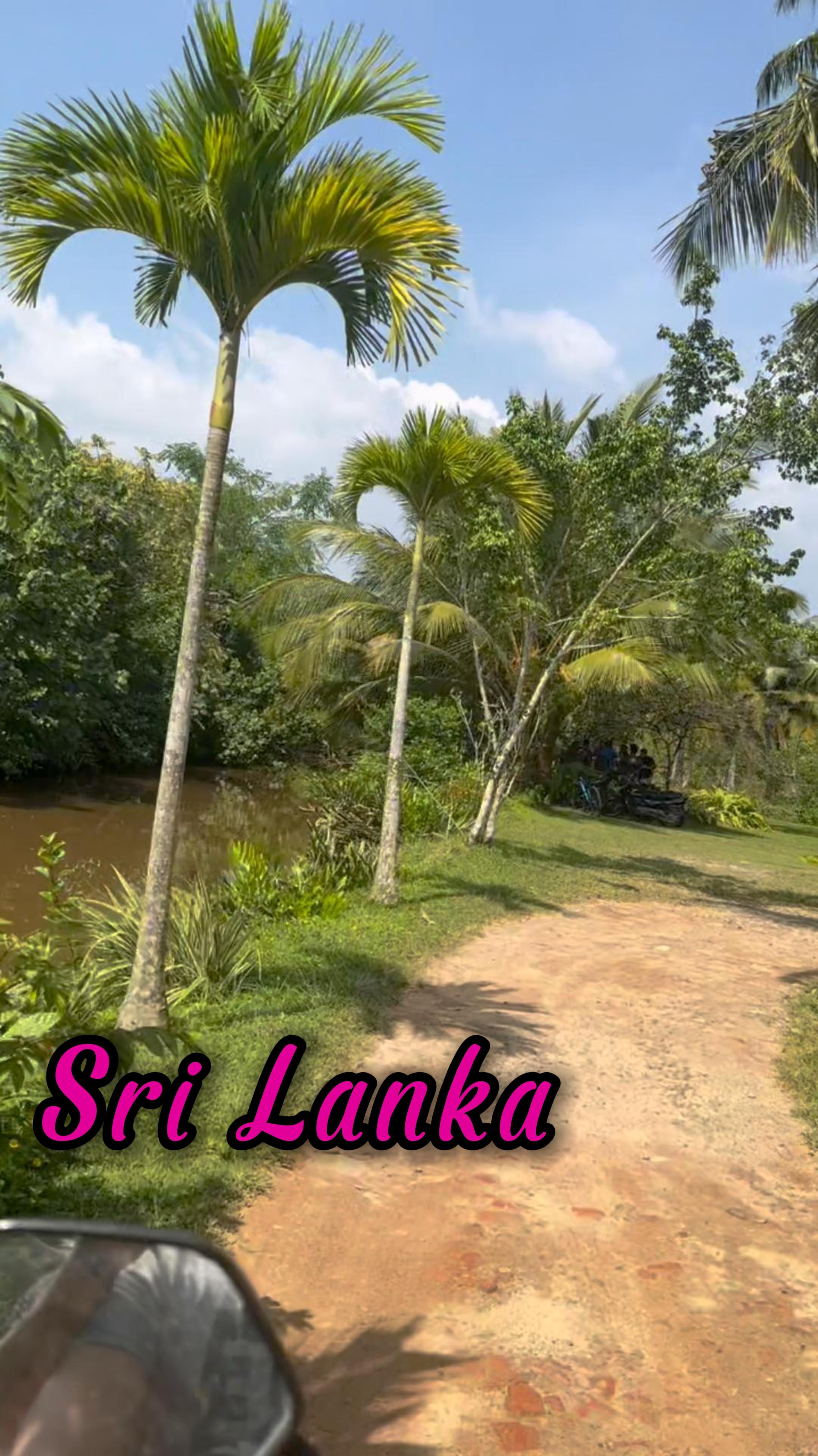 дорога в кафе King And Queen Cantina