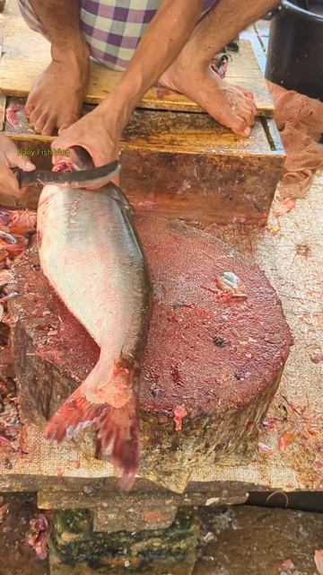 Wow! Attractive Best Best Big Fish Market In Bangladesh Village😱😲 #shorts смотреть онлайн