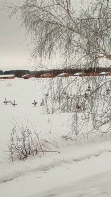 Елочка вам нравится? смотреть онлайн