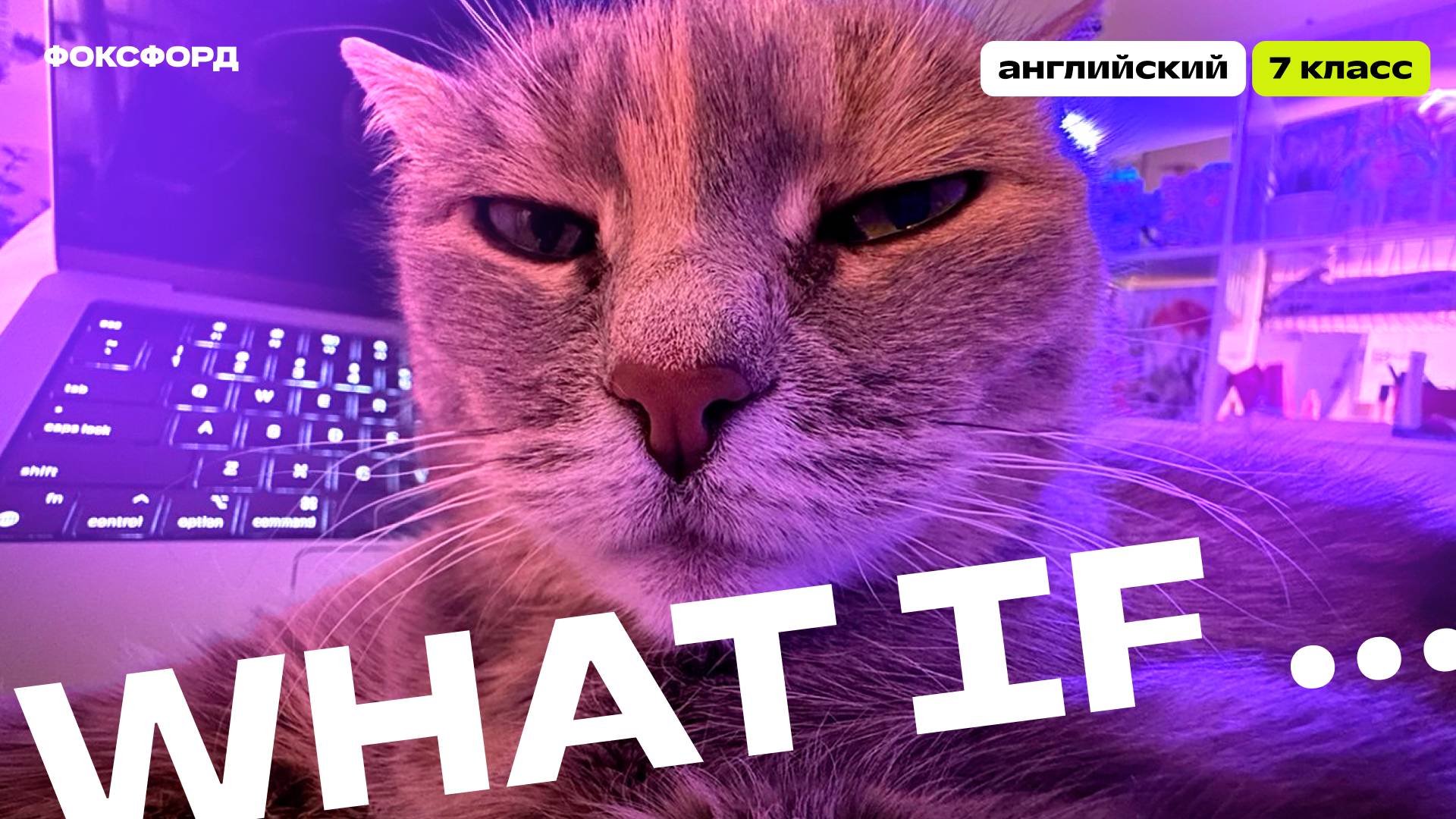 First Conditional | Английский язык, 7 класс смотреть онлайн