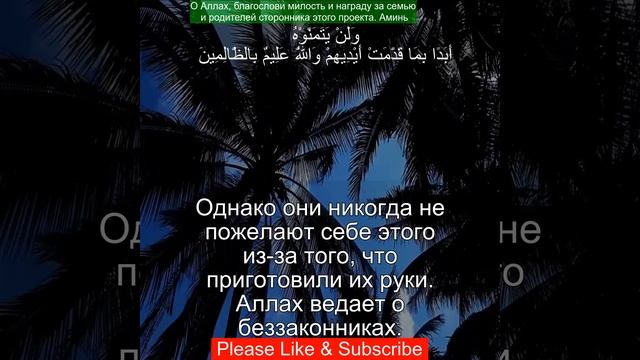 Коран Сура Аль-Бакара | 2:95 | Чтение Корана с русским переводом | Quran Translation in Russian смотреть онлайн