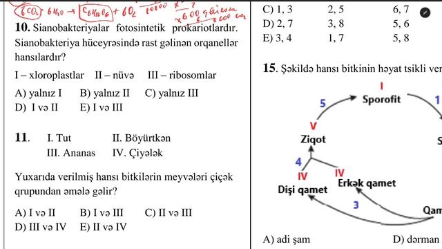 RFO BİOLOGİYA 2023-24 I TUR X SİNİF SUALLARININ İZAHI смотреть онлайн