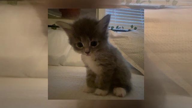 Лобода - 40 Градусов (Speed Up)