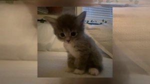 Лобода - 40 Градусов (Speed up)