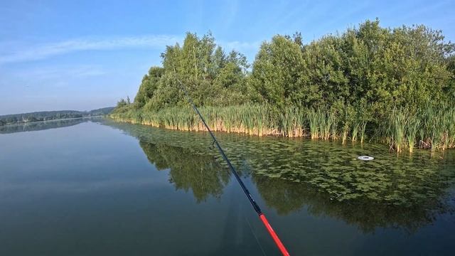Два моста, одна активность. "Циклоп" наконец-то разловлен! смотреть онлайн