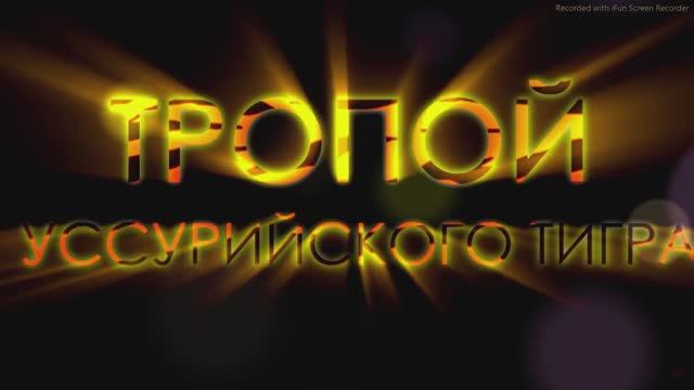 Усурийский тигр.