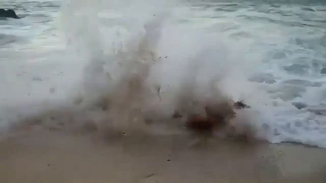 Youtube Beauty, Beautiful Young Girls In A Swimsuit. Sexy!