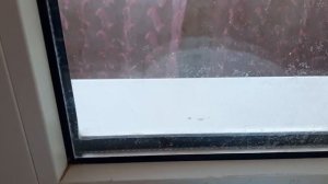 Как отмыть известковый налет со стекла