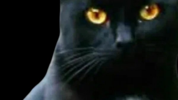 Delete Puzzle играю