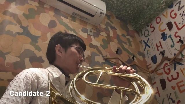 R.Strauss - ein Heldenleben played by Natural Horn ...If you were an audition juror смотреть онлайн