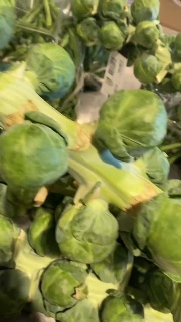 Brussel sprouts on the root смотреть онлайн