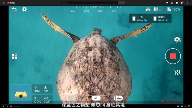 CHASING GLADIUS MINI UNDERWATER DRONE | Official Video- GLADIUS MINI(Chinese 中文配音） смотреть онлайн