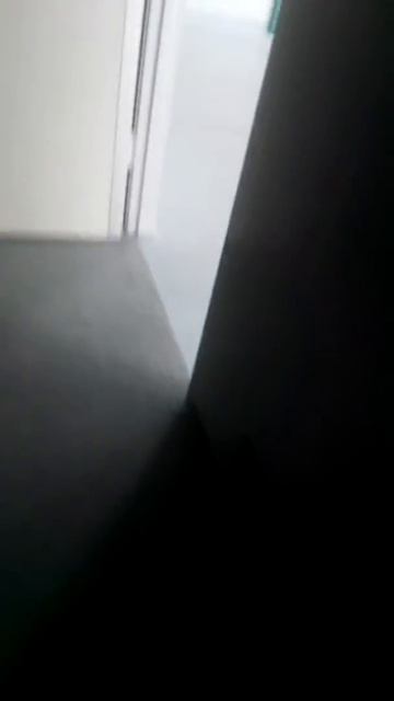 Двери для чистых помещений SanBela смотреть онлайн