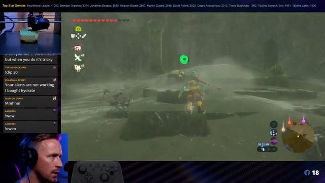 Live Streaming First Playthrough Part 19 Breath of the Wild on Switch смотреть онлайн