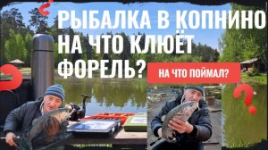 ЧТО ВЫБИРАТЬ  ФОРЕЛЬ РАННЕЙ ВЕСНОЙ СТИКИ  ИЛИ  ВОБЛЕРЫ.