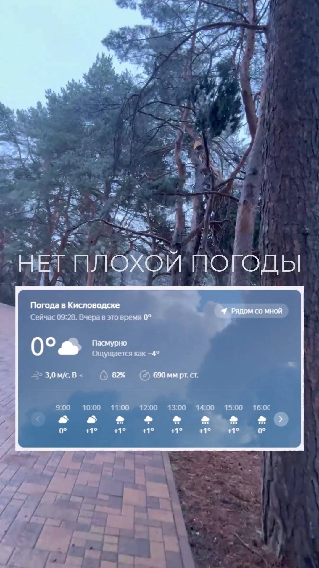 Приезжайте осчастливливаться в Кисловодский парк. Погода 22 марта 2025