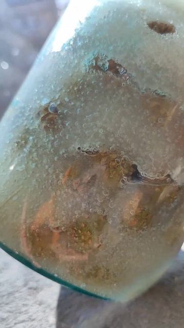 Растения и их экономическая ценность