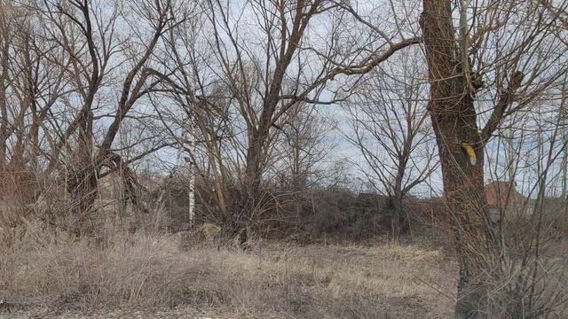 Дуброво. Касимовский р-н. Рязанская обл