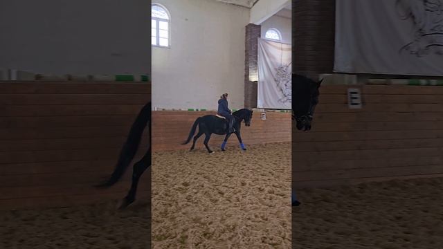 Марс. Русский рысак. Продажа.mp4