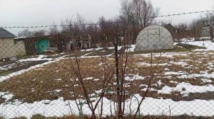 НА УЧАСТКЕ  В ЛЕНИНГРАДСКОЙ ОБЛАСТИ  21.03.25ГОД