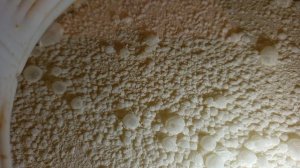 Брага на кодзи скисла