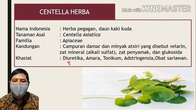FARMAKOGNOSI | HERBA смотреть онлайн